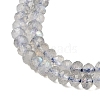 Natural Labradorite Beads Strands G-K366-A01-01-4