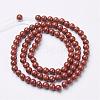 Natural Red Jasper Round Beads Strands GSR4mmC011-3