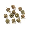 Natural Unakite Rondelle Charms with Rack Plating Brass Loops G-G110-05B-15-1