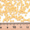 8/0 Opaque Glass Seed Beads X1-SEED-S048-N-018-4