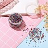 Baking Paint Glass Seed Beads SEED-SZ0001-006B-1