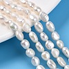 Natural Cultured Freshwater Pearl Beads Strands PEAR-N014-06E-01-4