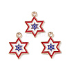 Independence Day Alloy Enamel Pendants ENAM-K067-36-2