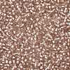 TOHO Round Seed Beads SEED-XTR11-0031F-2