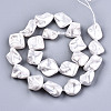 Electroplated Natural Freshwater Shell Beads Strands SHEL-R113-01F-2