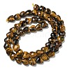 Natural Tiger Eye Beads Strands G-P544-E11-01-3