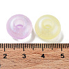 Transparent Acrylic Beads OACR-Z013-19-4