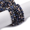 Natural Sodalite Beads Strands G-G139-B22-01-1