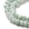 Natural Glass Beads Strands G-Q024-D02-01-4