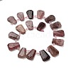 Natural Strawberry Quartz Beads Strands G-H078-A02-01-2