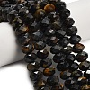 Natural Tiger Eye Beads Strands G-Z111-A02-04-1