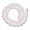 Natural Cultured Freshwater Pearl Beads Strands PEAR-N013-08F-4