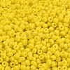 8/0 Glass Seed Beads X1-SEED-A010-3mm-42-3