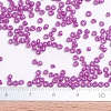 Baking Paint Glass Seed Beads SEED-S001-K21-4