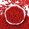 Transparent Colours Glass Seed Beads SEED-R001-01I-3