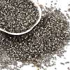 Imitation Cat Eyes Glass Seed Beads X-SEED-H003-03N-1