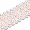 Natural Cultured Freshwater Pearl Beads Strands PEAR-N016-07C-1