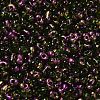 Spray Painted Glass Seed Beads SEED-F005-07A-05-3