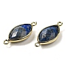Natural Lapis Lazuli Faceted Connector Charms G-K347-03G-03-2