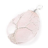 Natural Rose Quartz Pendants PALLOY-JF01307-02-3