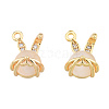 Brass Micro Pave Clear Cubic Zirconia Charms KK-N231-389-2