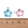 Transparent Acrylic Pendants AC-CBA53C6-03-3