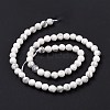 Natural Howlite Beads Strands G-E571-29A-4