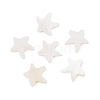 Natural Freshwater Shell Beads SHER-R100-03A-1