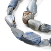 Natural Kyanite Beads Strands G-P497-01C-60-4