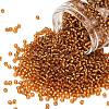 TOHO 8/0 Round Beads X-SEED-TR08-0022C-1