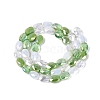 Electroplate Imitation Jade & Opaque & Transparent Glass Beads Strands EGLA-Q135-6x8MM-01E-3