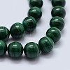 Natural Malachite Beads Strands G-F571-27AA2-8mm-3