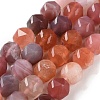 Natural Red Botswana Agate Beads Strands G-NH0021-A30-02-1