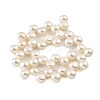 Natural Cultured Freshwater Pearl Beads Strands PEAR-A006-21-3