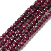 Natural Garnet Beads Strands X-G-I341-09A-1