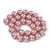 Electroplated Shell Pearl Beads Strands BSHE-G041-12mm-05-4