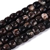 Natural Biotite Beads Strands G-Q616-02A-11-2