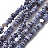 Natural Freshwater Shell Beads SHEL-B003-01G-1