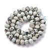 Natural Sesame Jasper Beads Strands G-K380-A08-01-3