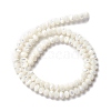 Natural Trochid Shell/Trochus Shell Beads Strands SSHEL-O001-24A-02-1