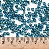 TOHO 6/0 Round Beads X-SEED-TR06-0167BD-2