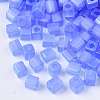 6/0 Transparent Glass Seed Beads X-SEED-S027-03B-06-3