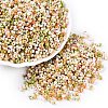 Baking Paint Glass Seed Beads SEED-C003-01J-1