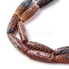 Natural Weathered Agate Beads Strands G-P570-C03-01-3