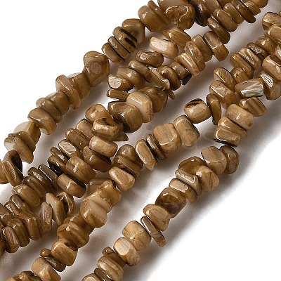 Natural Freshwater Shell Beads SHEL-B003-01D-1