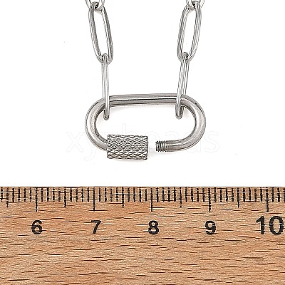 304 Stainless Steel Paperclip Chain Necklaces with Screw Carabiner Lock Charms NJEW-JN06389-1