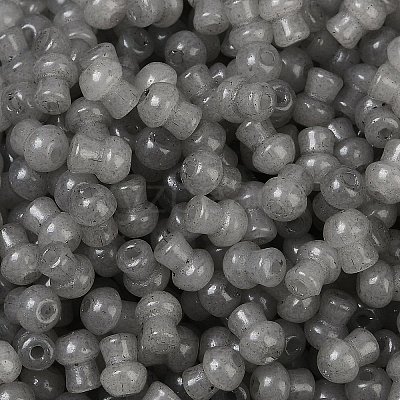 Transparent Colours Glass Seed Beads SEED-R001-01L-1