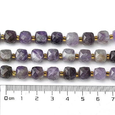 Natural Amethyst Beads Strands G-Q010-A07-01-1