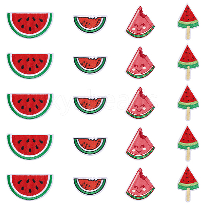 20Pcs 4 Styles Watermelon Nylon Computerized Embroidery Cloth Iron on/Sew on Patches DIY-HY0002-87-1