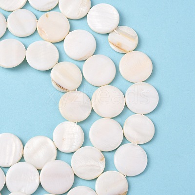 Natural Freshwater Shell Beads X-S00C20W3-1